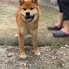 柴の甘々な男の子 サムネイル2