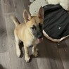 性格めちゃくちゃいいです