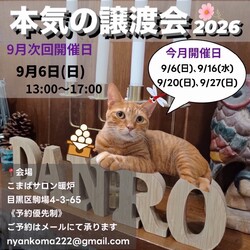 本気の譲渡会