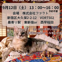 ねこけん出張！秘密の譲渡会＠FACT