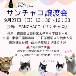 サンチャコ譲渡会