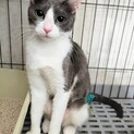 穏やかな美人さん✨️ニコちゃん