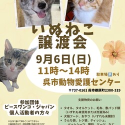 いぬねこ譲渡会