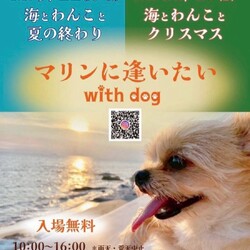 海とわんこと夏の終わり マリンに逢いたいwithdog