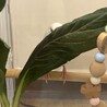 赤羽煇