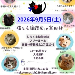 猫とも譲渡会in富田林 サムネイル1