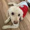 甘えん坊のなっくん サムネイル2
