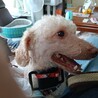 甘えん坊のなっくん サムネイル5