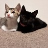 ぽやん顔のむつき君。