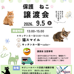猫の譲渡会@八幡市 サムネイル1