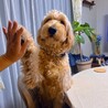 ベーコンまま