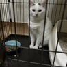 前髪ありの男の子　個性的な顔立ち サムネイル3