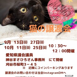 刈谷地域ねこの会　猫の譲渡会