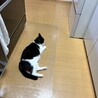人の側が好きな男の子☆ サムネイル3