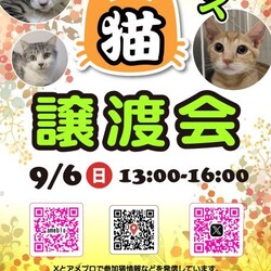 ほごねこ東京譲渡会＠尾久