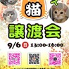 可愛い容姿☆ラテくん サムネイル7