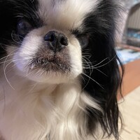 ふく