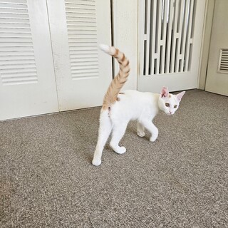 ❣️菜々緒ポーズ❣️