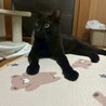 心優しい♡しじみくん