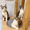 3兄弟♥無邪気で素直♡くう君
