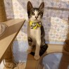 3兄弟♥無邪気で素直♡くう君 サムネイル4