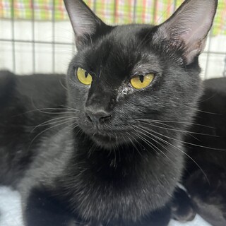 初心者さん向け慣れすぎた男の子！