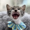 ちょっぴり困り顔がチャーミング、玉です♡ サムネイル6