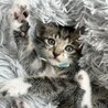 ちょっぴり困り顔がチャーミング、玉です♡ サムネイル7
