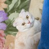 2歳の男の子です サムネイル4