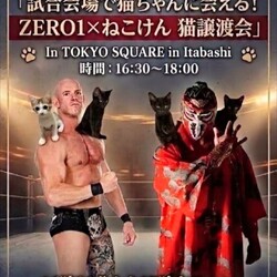 ZERO1×ねこけん　猫譲渡会 サムネイル1