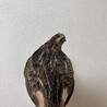 元気なうずらちゃんです！里親募集してます サムネイル3