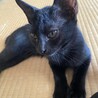 超絶甘えん坊、オットさん