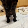 くろみちゃん サムネイル3