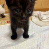 くろみちゃん サムネイル4