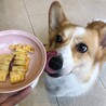 犬飼s