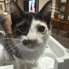 避妊が間に合わず　赤ちゃんが産まれてしまいました。 サムネイル2