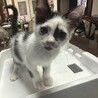 避妊が間に合わず　赤ちゃんが産まれてしまいました。