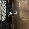 避妊が間に合わず　赤ちゃんが産まれてしまいました。 サムネイル4