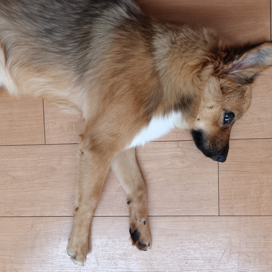 Kayaのカバー写真