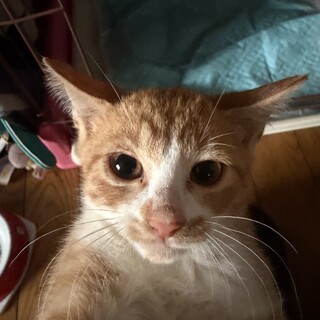 可愛い姉妹です！！甘えん坊さん