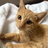 可愛い姉妹です！！甘えん坊さん サムネイル2