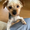 片足先が無くたってへっちゃらさ！【ケンケン君】 サムネイル7