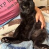 ぴか39 さん