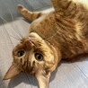 ぉ山のぉみっちゃん