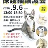 穏やか なれなれ♀すず 3か月 9/6(日)譲渡会 サムネイル5