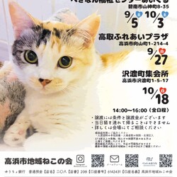 保護猫譲渡会@碧南市 サムネイル3
