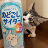 子猫ちゃんを大切にしてくださる方へ サムネイル3