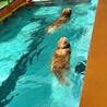 の写真