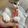 甘えん坊で食いしん坊！うみ君 サムネイル2