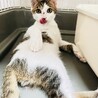 甘えん坊で食いしん坊！うみ君 サムネイル3